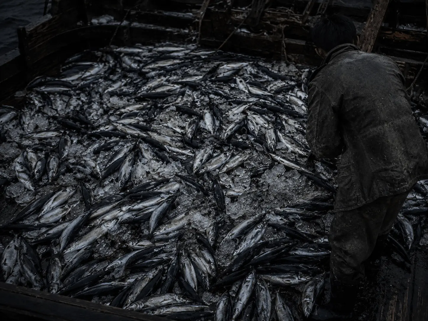 A Proactive Approach to Combat Illegal Fishing